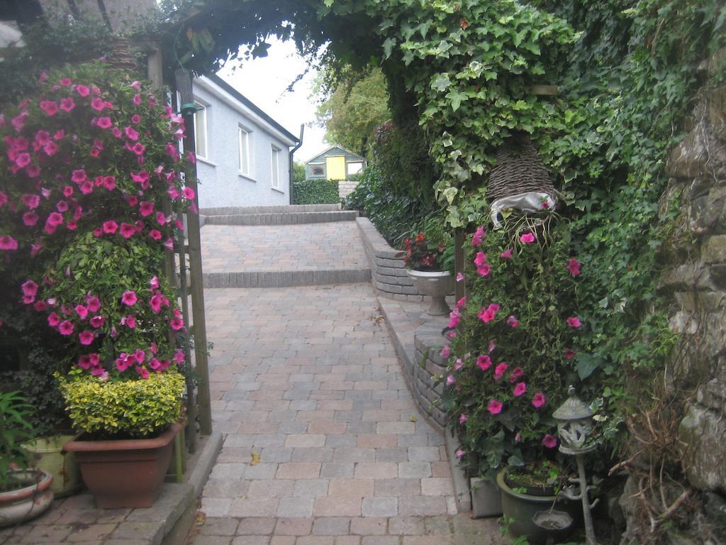 Ashleigh House Bed & Breakfast モナハン エクステリア 写真
